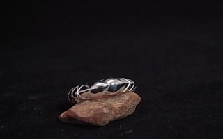 Ring　No,20